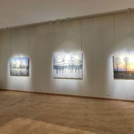 Galerie Tamenaga - Nouvel Horizon Japon